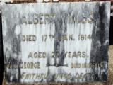 image of grave number 595955